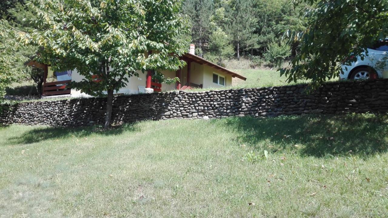 Vikend Kuca Maksimovic Villa Mataruska Banja Buitenkant foto