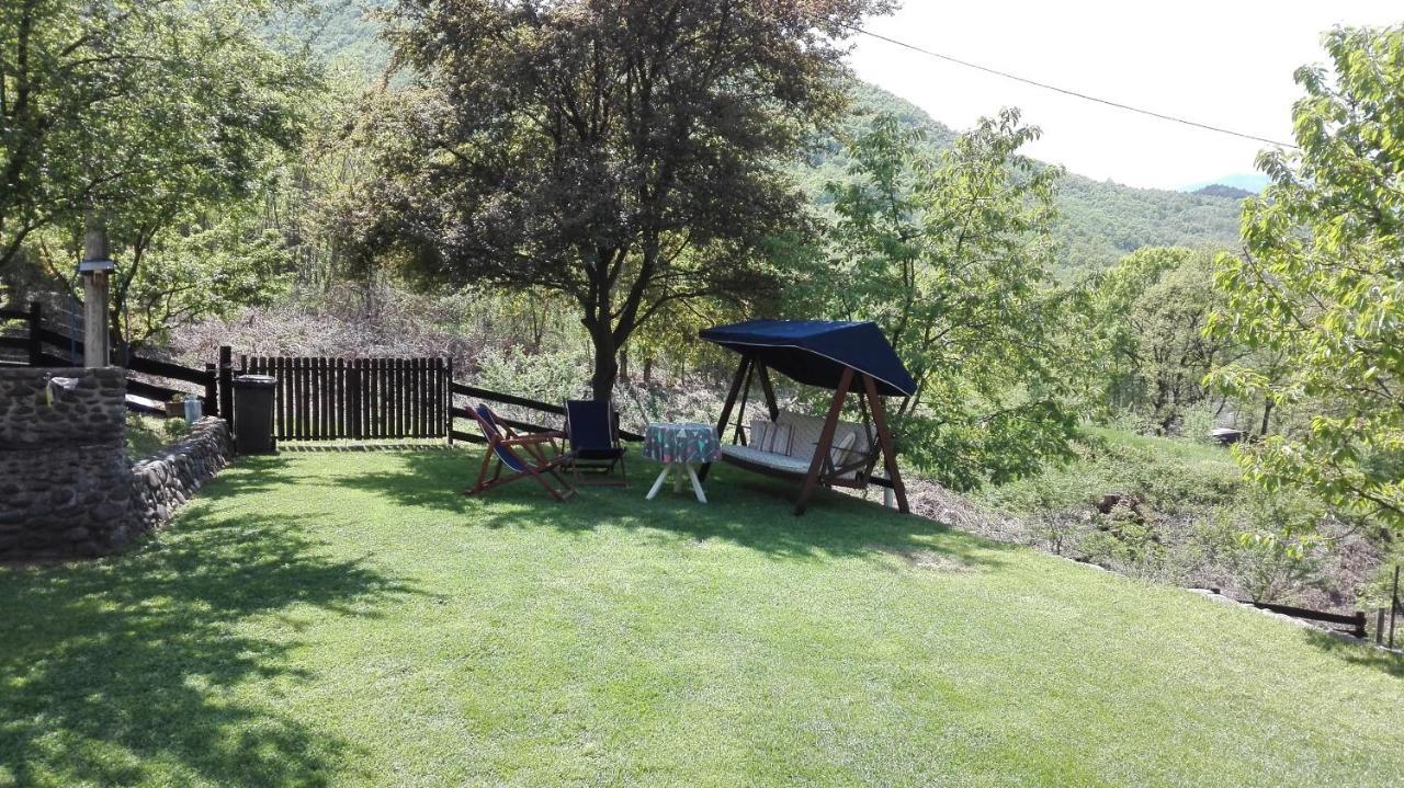 Vikend Kuca Maksimovic Villa Mataruska Banja Buitenkant foto