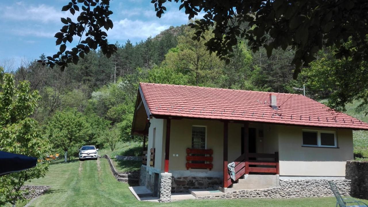 Vikend Kuca Maksimovic Villa Mataruska Banja Buitenkant foto