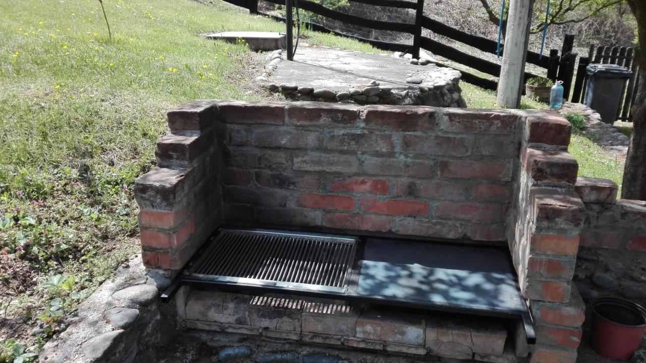 Vikend Kuca Maksimovic Villa Mataruska Banja Buitenkant foto