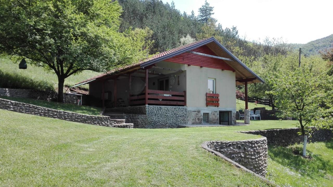 Vikend Kuca Maksimovic Villa Mataruska Banja Buitenkant foto