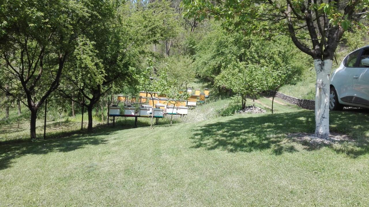 Vikend Kuca Maksimovic Villa Mataruska Banja Buitenkant foto