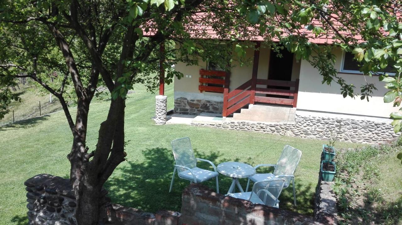 Vikend Kuca Maksimovic Villa Mataruska Banja Buitenkant foto