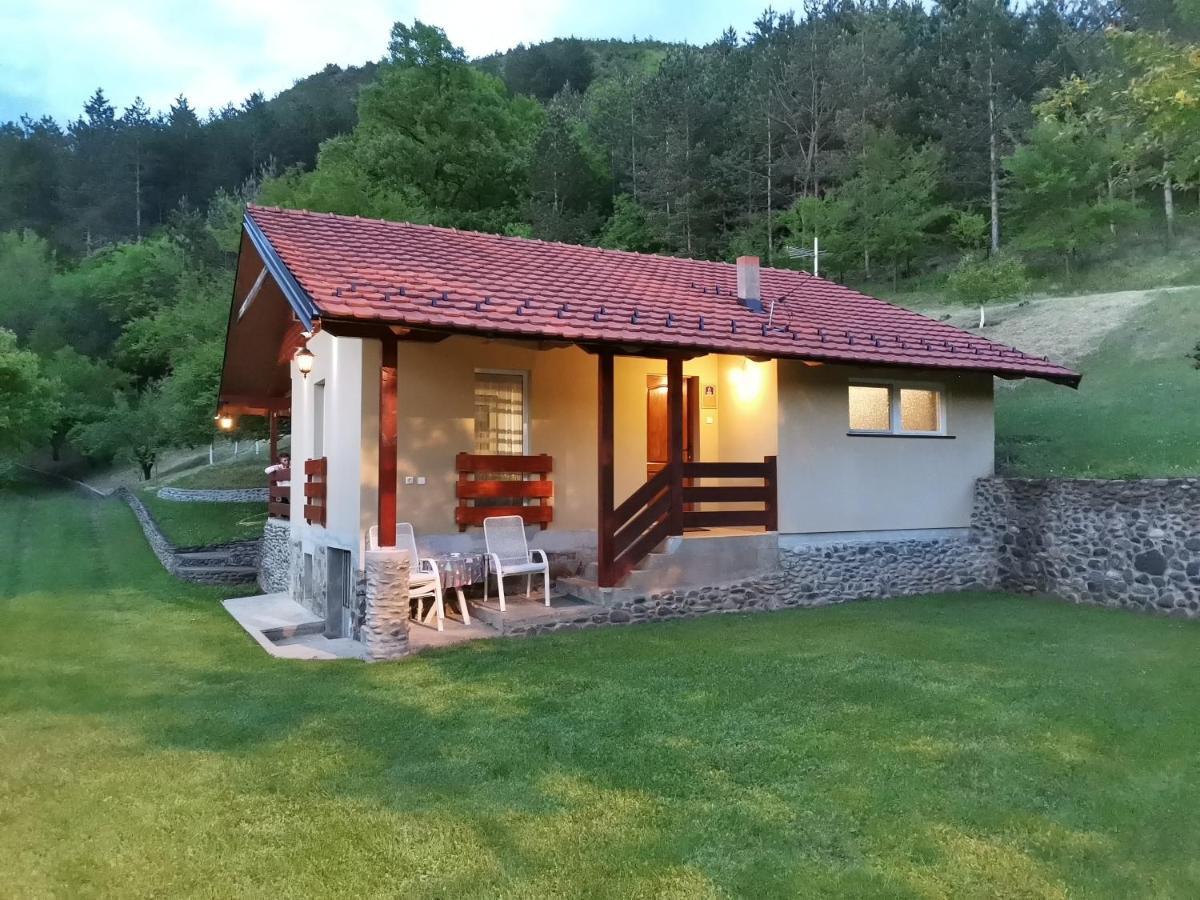 Vikend Kuca Maksimovic Villa Mataruska Banja Buitenkant foto