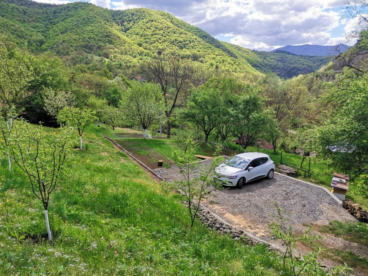 Vikend Kuca Maksimovic Villa Mataruska Banja Buitenkant foto