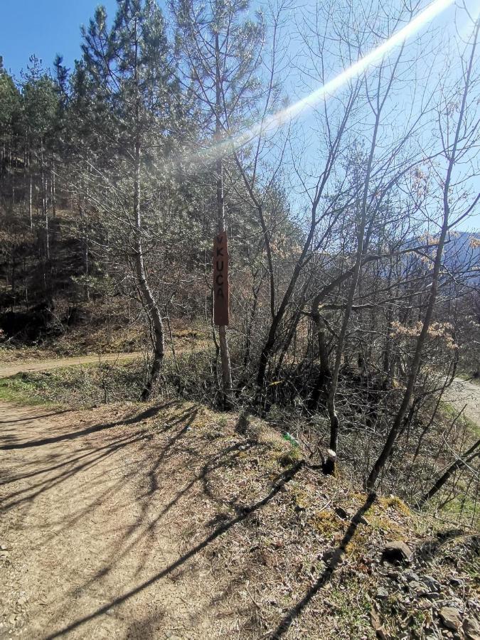 Vikend Kuca Maksimovic Villa Mataruska Banja Buitenkant foto